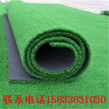 包头市善君卫生用品厂 塑料装饰材料的创新与应用探索