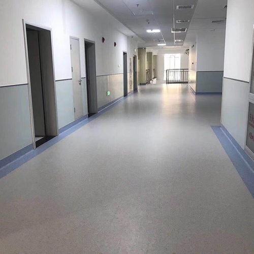 三沙市PVC塑胶地板市场概述与应用前景