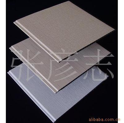 天丽装饰材料 优质塑钢装饰扣板及多元化吊顶解决方案